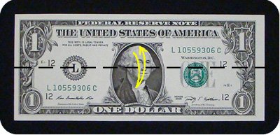 dollar bill duck